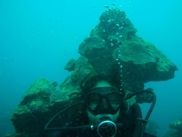 Bajo el mar